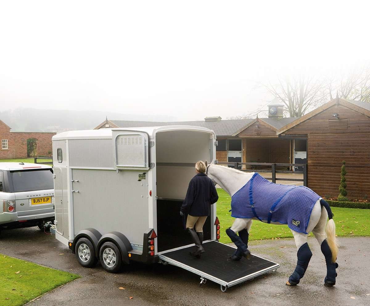 Ifor Williams HB503 Basic Hestetrailer | Ladmål 316 x 167 x 226 cm | 2600 kg