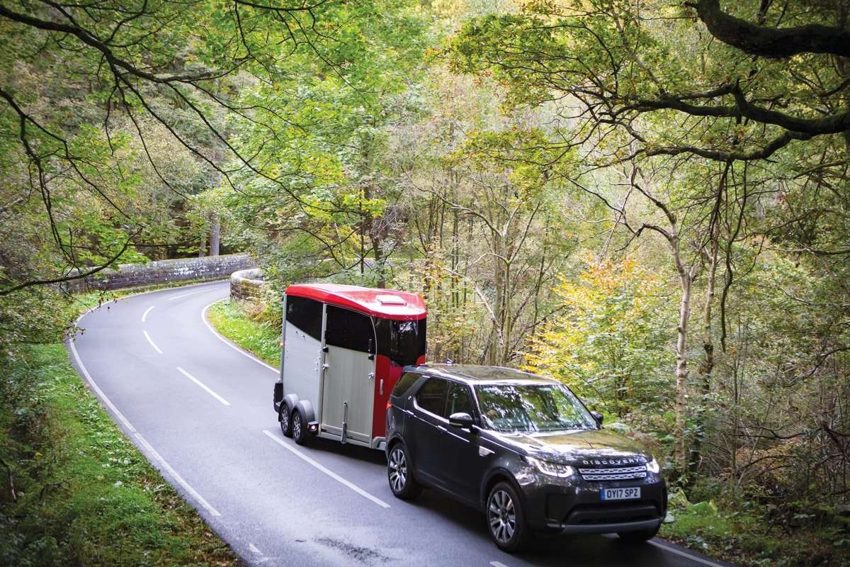 Ifor Williams HBX403 Hestetrailer | Ladmål 319 x 130 x 226 cm | 1600 kg