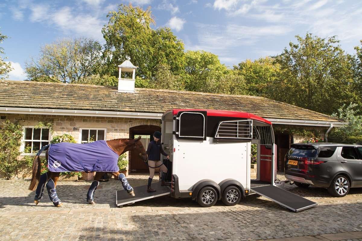Ifor Williams HBX403 Hestetrailer | Ladmål 319 x 130 x 226 cm | 1600 kg